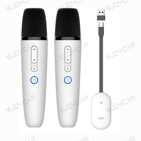Universal for Tesla Model 3 X Y S Cybertruck Car Karaoke Microphone Rechargeable Mic with USB-A & USB-C Receiver